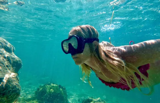 西棕櫚灘導覽浮潛體驗，免費視頻