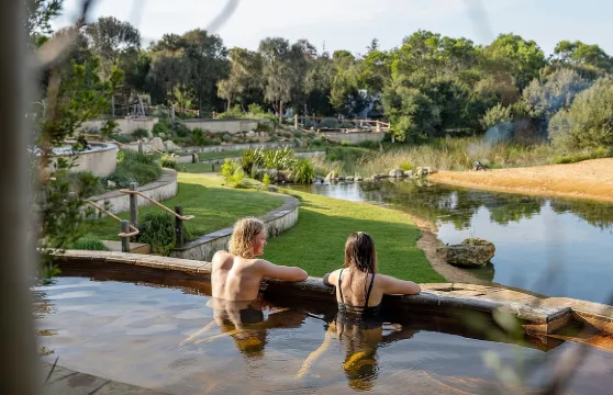 摩寧頓半島小團溫泉之旅(含午餐及葡萄酒)