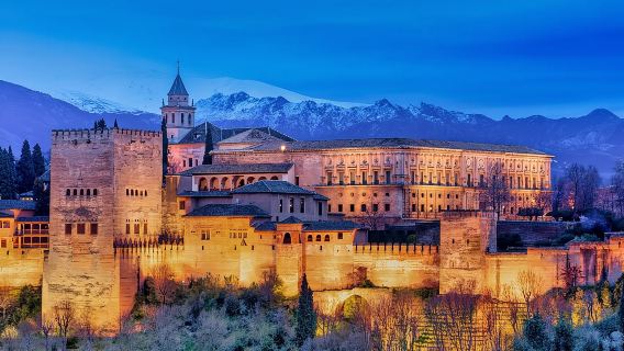 Premium Private Tour of the Alhambra of Granada (includes tickets)