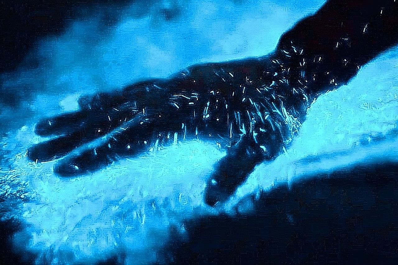 ทัวร์ล่องเรือชมปรากฏการณ์เรืองแสงชีวภาพและพระอาทิตย์ตกที่เขตรักษาพันธุ์สัตว์ป่าโลสอาร์โคส