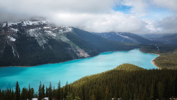 BanffTours