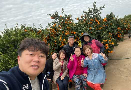Jeju Full-Island Small-Group Tour: East, South, West & City Highlights