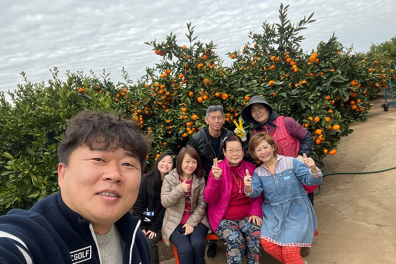 tour organizzati PACCHETTO COMPLETO Tour in tutte le aree dell'isola di Jeju