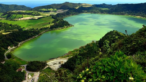 Adventure in the Furnas, with volcanoes, lagoons and tea plantations