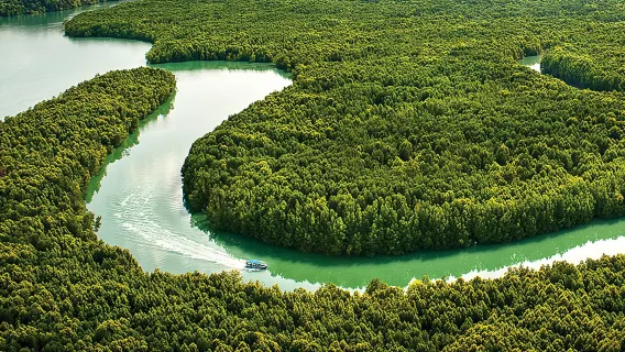 Langkawi UNESCO Geopark Discovery – Half-Day Eco & Nature Escape