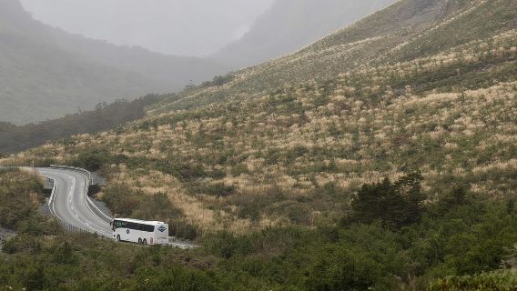 GammackTours