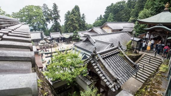大阪生駒山空中腳踏車&奈良公園東大寺&若草山一日遊
