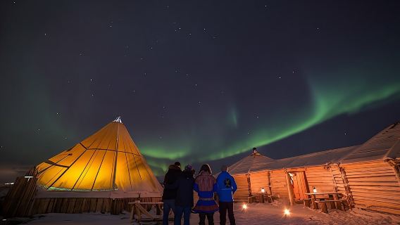 Dinner at a reindeer camp and northern lights