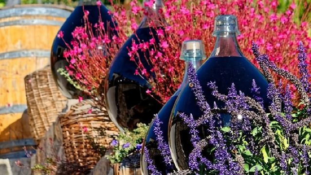 Half-Day Wine Tasting and Saint Paul de Vence Tour from Nice