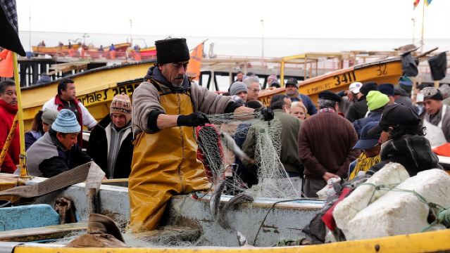 Valpo en 1 día: ¡Auténtico + famoso! Tour a pie semiprivado y transporte público