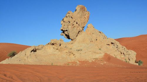 Mleiha Dubai Desert Safari with Stargazing and Dinner  Day Tours 5
