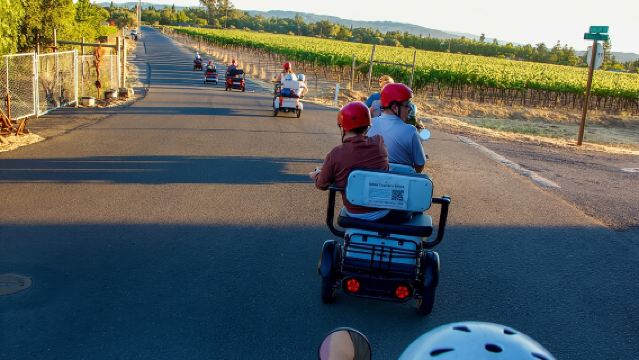 Lawatan Basikal Elektrik Wine Country Sonoma - 3 jam