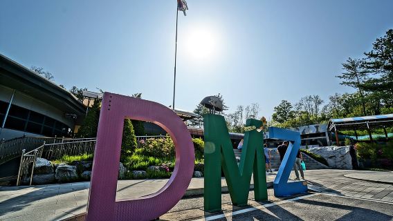 Premium Private DMZ Tour & (Suspension Bridge or N-Tower) include lunch
