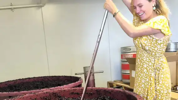 Small Group Hunter Valley Wine Tour + Lunch, Gin & Choc ex Sydney