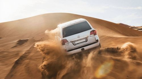 Abu Dhabi Al Khayma Seahorse Morning Dune Bashing Experience Day Tours 7