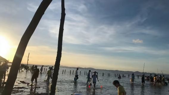 福建寧德霞浦牛嶼灘塗趕海/漁民體驗【含灘塗景區門票+漁民嚮導+趕海工具+拉網籠】