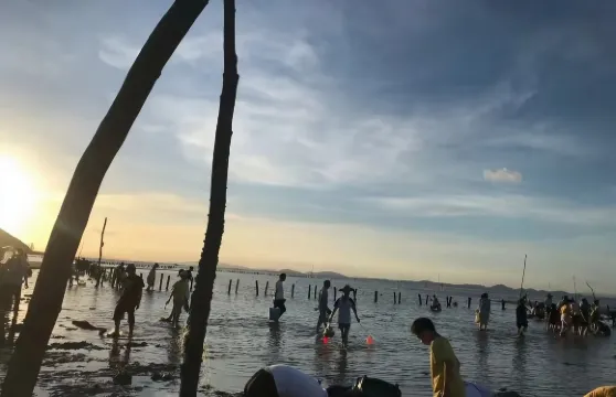 福建寧德霞浦牛嶼灘塗趕海/漁民體驗【含灘塗景區門票+漁民嚮導+趕海工具+拉網籠】