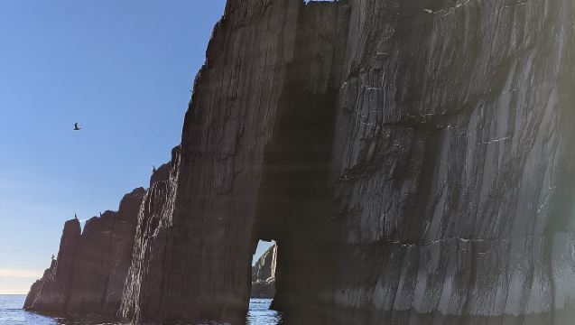 Boat Tour of Dingle Peninsula