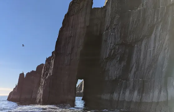 丁格爾半島遊船之旅