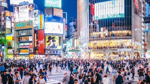 Tokyo Private Tour by Car with English speaking driver