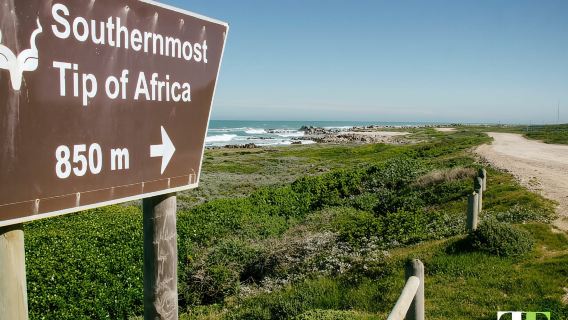 Cape Town: Full Day Hermanus & Cape Agulhas Tour with Lunch