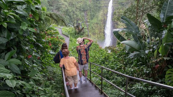 Big Island: Waterfall Tour with Swimming & Botanical Garden