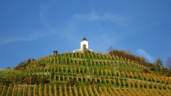 Maribor & Styria Tour with Wine Tasting