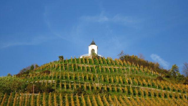 Tour Maribor & Styria với Nếm Rượu Vang