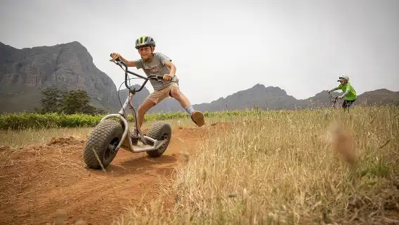 Stellenbosch Winelands สกู๊ตเตอร์แรงโน้มถ่วงแบบดาวน์ฮิลล์
