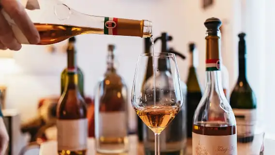 Budapest: Hungarian Wine Tasting with 8 Wines and Tapas