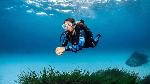 Mallorca: Discover Scuba Diving from the beach