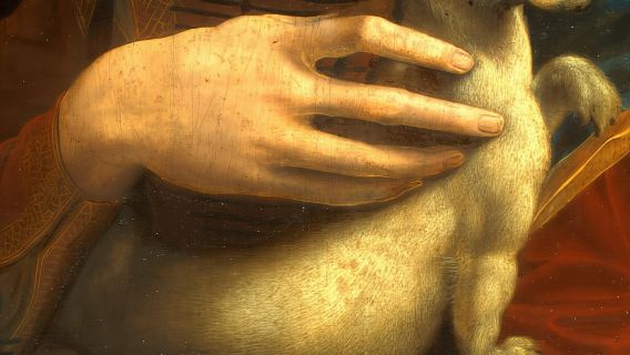 Krakow: Czartoryski Museum Guided Tour in English