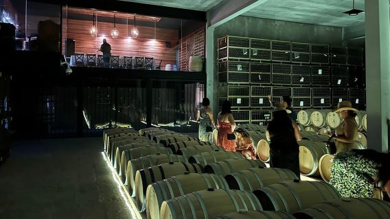 San Miguel de Allende : Menu 3 ou 5 plats et accord mets et vins
