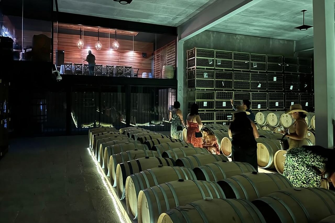 San Miguel de Allende: 3 or 5-Course Menu & Wine Pairing