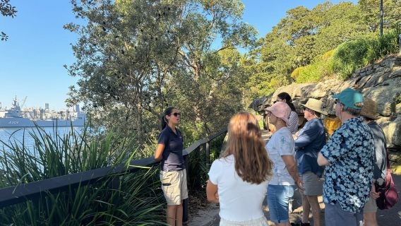 1/2 day Sydney Sightseeing and Bondi Beach Tour