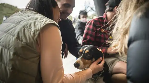 Queenstown: Lake Cruise to Walter Peak Farm with BBQ Buffet