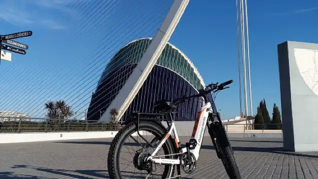 Valencia: The Albufera Lake Self-Guided E-Bike Tour