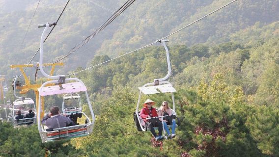 Beijing 1-Day Tour: Mutianyu Great Wall + Summer Palace + Bird's Nest (Bilingual Guide ◉ Optional Private Charter Upgrade)