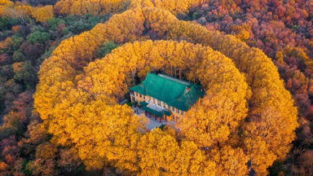 Presidential Palace + Bao'en Temple + Meiling Palace + Dr. Sun Yat-sen's Mausoleum
