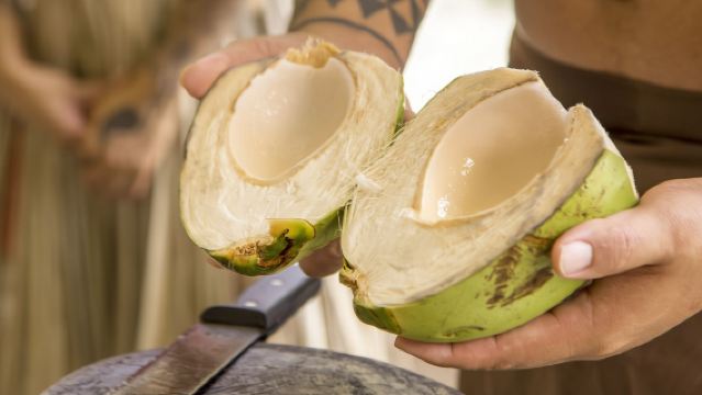 Unterwasser-Observatorium & Kokosnuss-Erlebnis