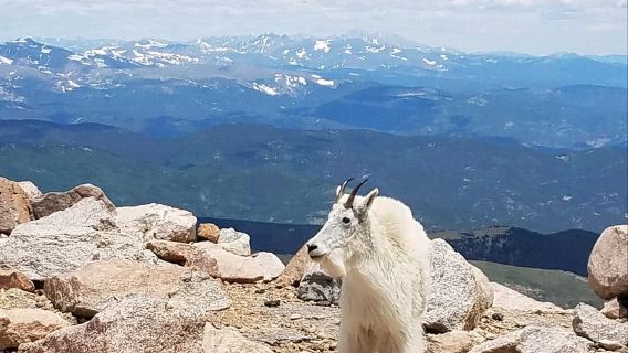 From Denver: Trip to Mount Blue Sky Summit and Glacial Lake