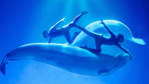 皇家海洋樂園一日遊【瀋陽市區上門接送2-6人精緻小團】