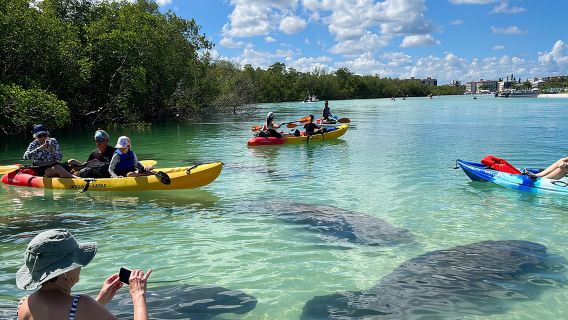 Guided Island EcoTour: CLEAR/Standard Kayak, SUP - Bonita Springs