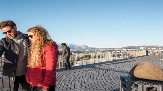 ReykjavikTours