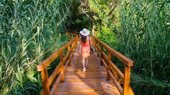 Dari Split: Perjalanan Air Terjun Krka dengan Pelayaran Bot dan Berenang