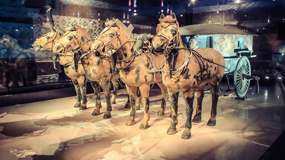 Private Half-Day Tour of Xi'an Terracotta Warriors