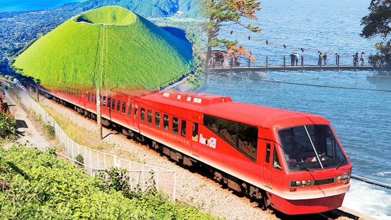 日本東京伊豆一日遊:大室山+動物園+觀海列車體驗+城崎海岸