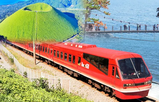 日本東京伊豆一日遊：大室山+動物園+觀海列車體驗+城崎海岸