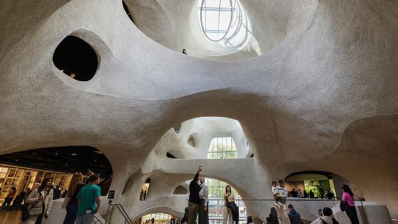 American Museum of Natural History Admission Ticket