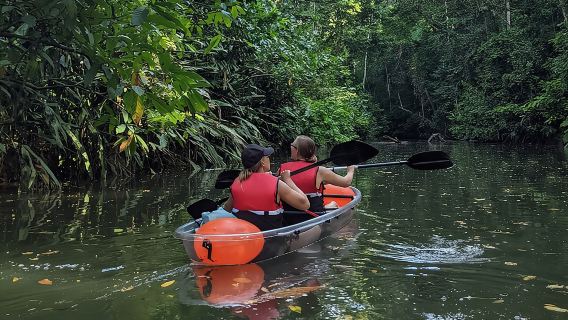 Tour en Kayak Claro en Punta Uva
